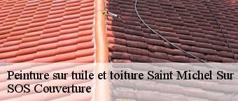 Peinture sur tuile et toiture  saint-michel-sur-orge-91240 Entreprise Georges R