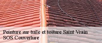 Peinture sur tuile et toiture saint-vrain-91770 SOS Couverture
