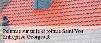 Peinture sur tuile et toiture  saint-yon-91650 Entreprise Georges R