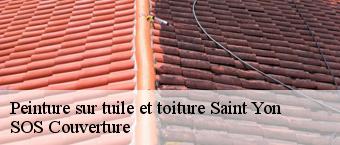 Peinture sur tuile et toiture  saint-yon-91650 Entreprise Georges R