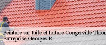 Peinture sur tuile et toiture  congerville-thionville-91740 Entreprise Georges R