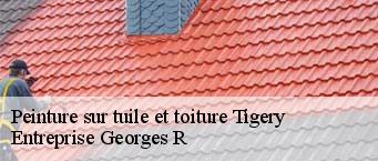 Peinture sur tuile et toiture  tigery-91250 Entreprise Georges R
