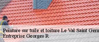 Peinture sur tuile et toiture  le-val-saint-germain-91530 Entreprise Georges R