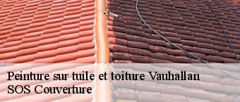 Peinture sur tuile et toiture vauhallan-91430 SOS Couverture