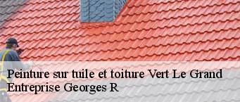 Peinture sur tuile et toiture  vert-le-grand-91810 Entreprise Georges R