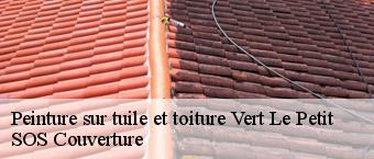 Peinture sur tuile et toiture vert-le-petit-91710 SOS Couverture