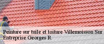 Peinture sur tuile et toiture  villemoisson-sur-orge-91360 Entreprise Georges R