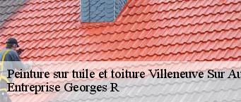 Peinture sur tuile et toiture  villeneuve-sur-auvers-91580 Entreprise Georges R