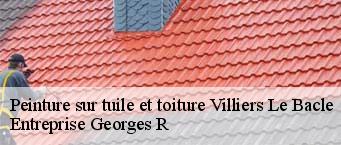 Peinture sur tuile et toiture  villiers-le-bacle-91190 Entreprise Georges R