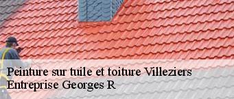 Peinture sur tuile et toiture  villeziers-91940 Entreprise Georges R