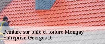 Peinture sur tuile et toiture  montjay-91440 Entreprise Georges R