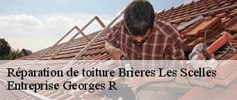 Réparation de toiture  brieres-les-scelles-91150 Entreprise Georges R