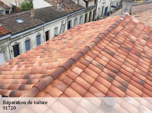 Réparation de toiture 91720