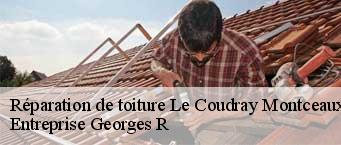 Réparation de toiture  le-coudray-montceaux-91830 Entreprise Georges R