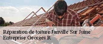 Réparation de toiture  janville-sur-juine-91510 Entreprise Georges R