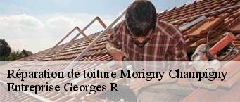 Réparation de toiture  morigny-champigny-91150 Entreprise Georges R