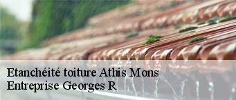 Etanchéité toiture  athis-mons-91200 Entreprise Georges R