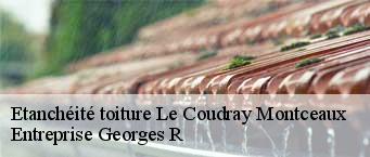 Etanchéité toiture  le-coudray-montceaux-91830 Entreprise Georges R