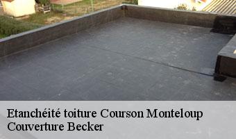 Etanchéité toiture  courson-monteloup-91680 Couverture Becker