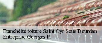 Etanchéité toiture  saint-cyr-sous-dourdan-91410 Entreprise Georges R