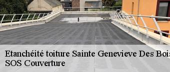 Etanchéité toiture  sainte-genevieve-des-bois-91700 SOS Couverture