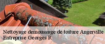 Nettoyage demoussage de toiture  angerville-91670 Entreprise Georges R
