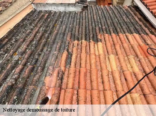 Nettoyage demoussage de toiture