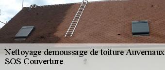 Nettoyage demoussage de toiture  auvernaux-91830 Entreprise Georges R