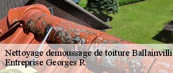 Nettoyage demoussage de toiture  ballainvilliers-91160 Entreprise Georges R
