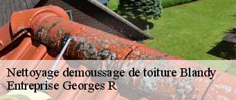Nettoyage demoussage de toiture  blandy-91150 Entreprise Georges R