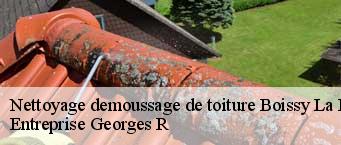 Nettoyage demoussage de toiture  boissy-la-riviere-91690 Entreprise Georges R