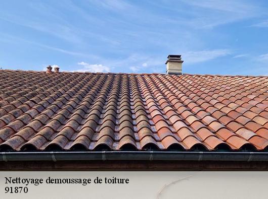 Nettoyage demoussage de toiture  91870