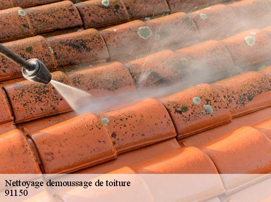 Nettoyage demoussage de toiture 91150