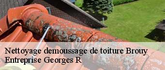 Nettoyage demoussage de toiture  brouy-91150 Entreprise Georges R