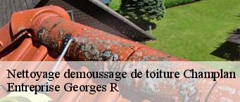 Nettoyage demoussage de toiture  champlan-91160 Entreprise Georges R