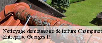 Nettoyage demoussage de toiture  champmotteux-91150 Entreprise Georges R