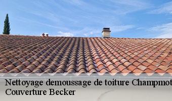Nettoyage demoussage de toiture champmotteux-91150 Couverture Becker