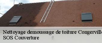 Nettoyage demoussage de toiture  congerville-91740 Entreprise Georges R