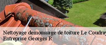 Nettoyage demoussage de toiture  le-coudray-montceaux-91830 Essonne Couverture