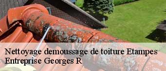 Nettoyage demoussage de toiture  etampes-91150 Entreprise Georges R