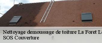 Nettoyage demoussage de toiture  la-foret-le-roi-91410 Entreprise Georges R