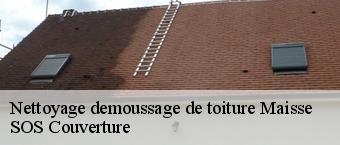 Nettoyage demoussage de toiture  maisse-91720 Entreprise Georges R