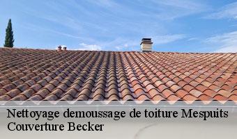 Nettoyage demoussage de toiture mespuits-91150 Couverture Becker