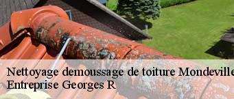 Nettoyage demoussage de toiture  mondeville-91590 Entreprise Georges R