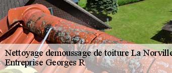 Nettoyage demoussage de toiture  la-norville-91290 Entreprise Georges R