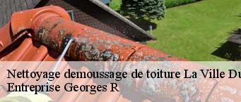 Nettoyage demoussage de toiture  la-ville-du-bois-91620 Entreprise Georges R