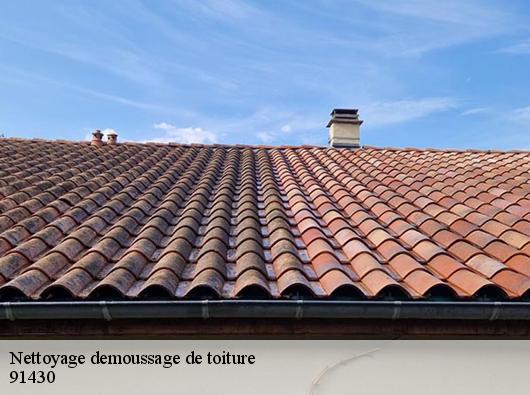 Nettoyage demoussage de toiture 91430