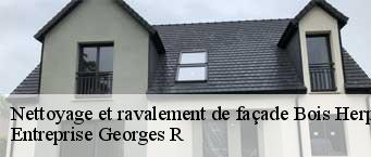Nettoyage et ravalement de façade  bois-herpin-91150 Entreprise Georges R