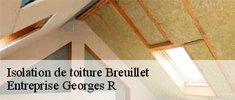 Isolation de toiture  breuillet-91650 Entreprise Georges R