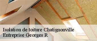 Isolation de toiture  chatignonville-91410 Entreprise Georges R